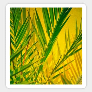 Plants Clicked In Front Of An Accent Yellow Background Sticker